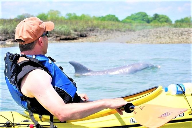 2-Hour Guided Kayak Eco Tour in Charleston - Quick takes for your kayak day