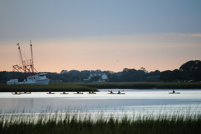 2-Hour Guided Kayak Eco Tour in Charleston - The Paddle Pace: Easy-Going for Beginners, Still Real for Strong Paddlers