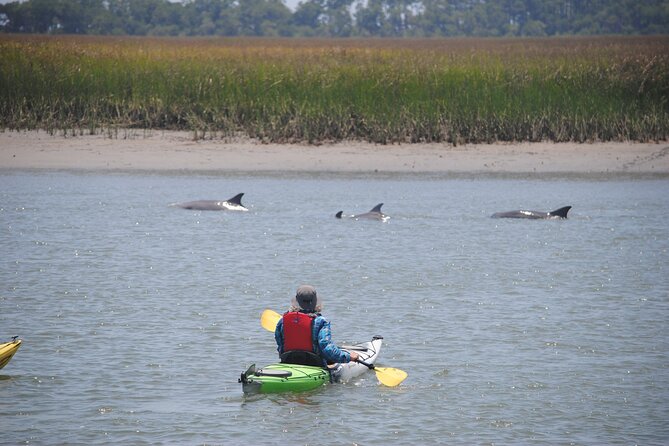 2-Hour Guided Kayak Eco Tour in Charleston - Gear and Fit: Dry Bags, Wet Shoes, and the Oyster-Shell Reality