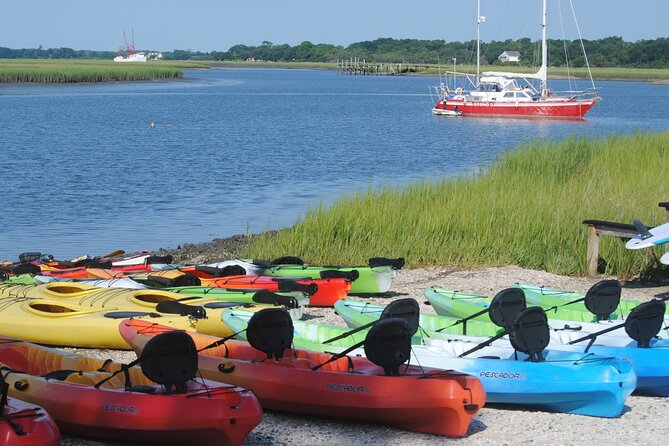2-Hour Guided Kayak Eco Tour in Charleston - Guides Make the Difference: Funny, Calm, and Route-Savvy in Real Tides