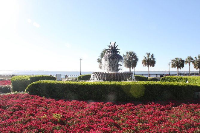 90-Minute Charleston City Sightseeing Bus Tour - The mini-coach ride: comfortable, but plan for a moving tour