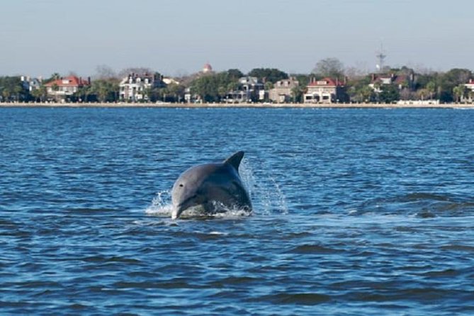 Afternoon Schooner Sightseeing Dolphin Cruise on Charleston Harbor - Boarding Schooner Pride at Aquarium Wharf: what you’re stepping onto