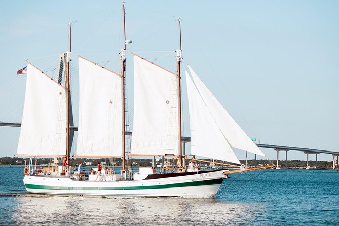 Afternoon Schooner Sightseeing Dolphin Cruise on Charleston Harbor - Should you book this Charleston harbor dolphin sail?