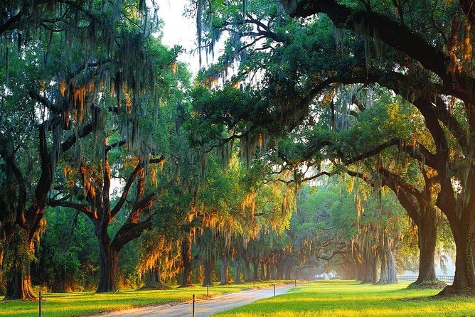 Boone Hall Plantation All-Access Admission Ticket - First Impressions on the Avenue of Oaks