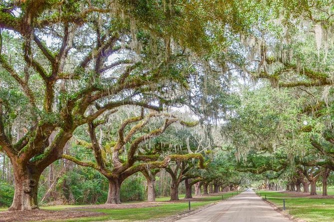 Boone Hall Plantation All-Access Admission Ticket - Tractor Tour Across the Property (Weather Permitting)
