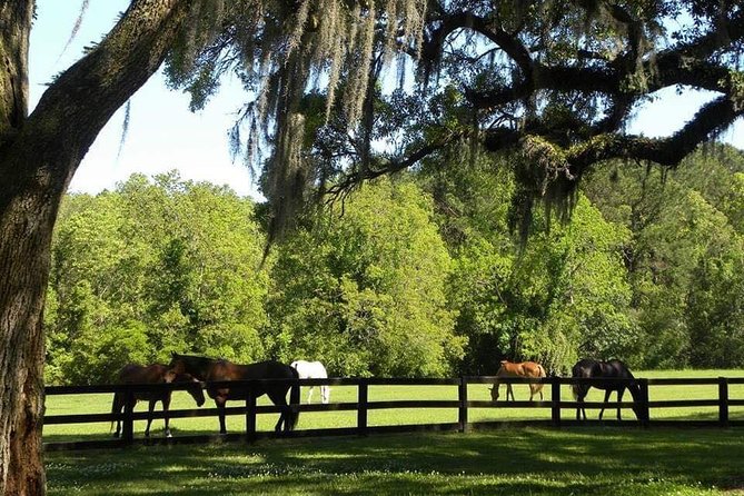 Boone Hall Plantation All-Access Admission Ticket - Stables and Gin House Museum: Working-Farm Details