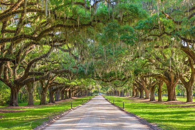 Boone Hall Plantation Day Tour with Transportation - Farm and Nature Tractor Tour: A Must-Do Component
