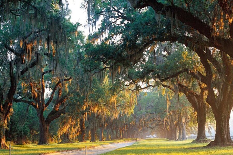 Charleston: Boone Hall & Historic City Tour Combo - Charleston city tour: Battery Sea Wall, Rainbow Row, and the Four Corners of Law