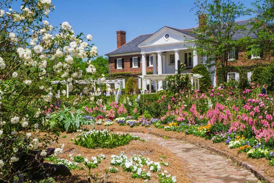 Charleston: Boone Hall Plantation Tour - Morning Pickup at 375 Meeting Street: Easy Charleston Logistics