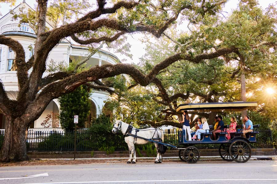 Charleston: Downtown Horse-Drawn Carriage Tour - Why This Charleston Carriage Tour Feels Like the Best First Move