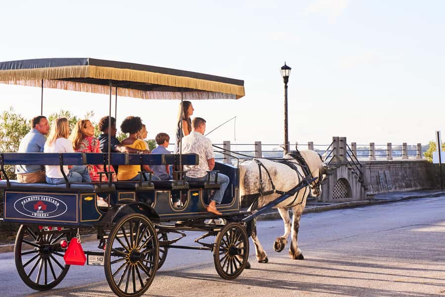 Charleston: Downtown Horse-Drawn Carriage Tour - Horses, Comfort, and the Practical Side of a Slow Ride
