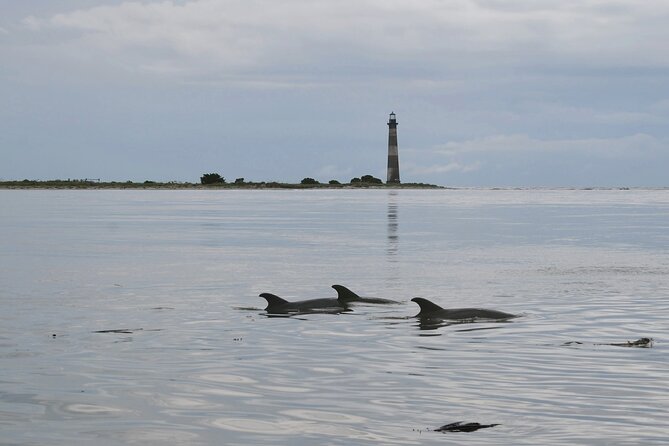 Charleston Eco Boat Cruise with stop at Morris Island Lighthouse - Morris Island Lighthouse Stop: Photos, Stories, and a Way to Read the Coast