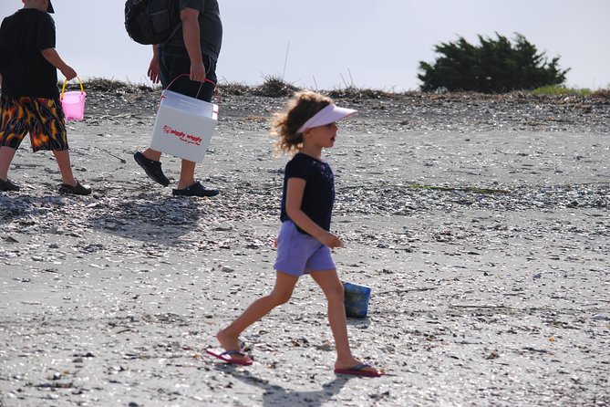Charleston Eco Boat Cruise with stop at Morris Island Lighthouse - Beach Time on Morris Island: Shelling, Sand Dollars, and Tide-Driven Fun