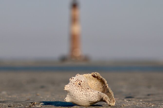 Charleston Eco Boat Cruise with stop at Morris Island Lighthouse - Timing, Weather, and What to Pack (So You Don’t Regret It)
