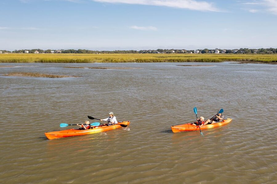 Charleston: Folly Beach Afternoon Kayak Dolphin Safari - Key highlights worth caring about