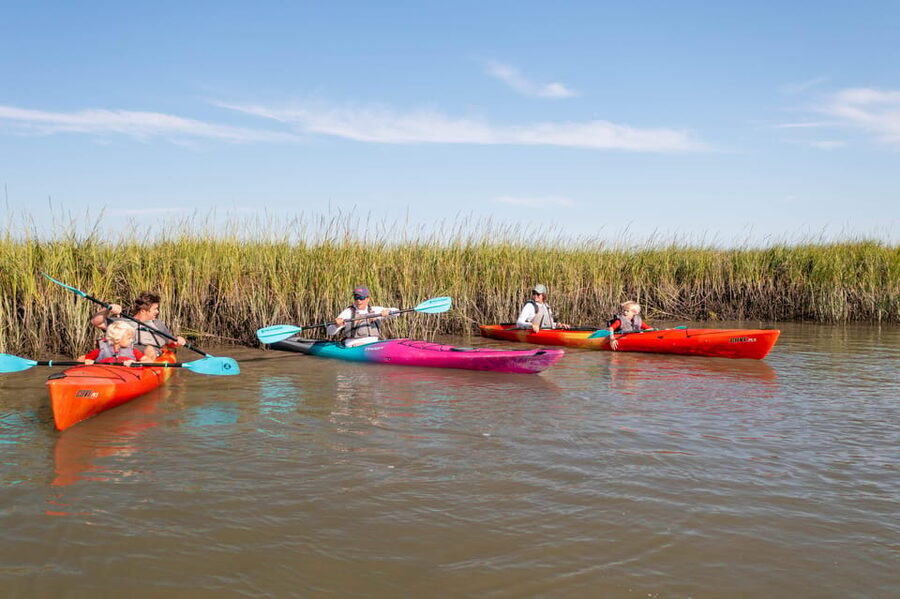 Charleston: Folly Beach Afternoon Kayak Dolphin Safari - Who This Kayak Dolphin Safari Fits Best