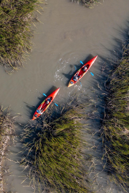 Charleston: Folly Beach Afternoon Kayak Dolphin Safari - Choosing the Right Time Slot: Afternoon vs Sunset vs Morning