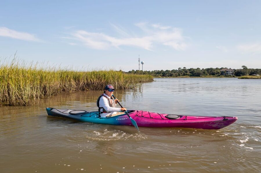 Charleston: Folly Beach Afternoon Kayak Dolphin Safari - Dolphin Safari Moment: What You Can Aim For (Without Counting on It)