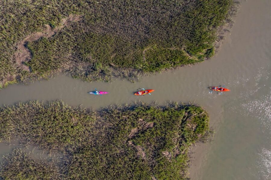 Charleston: Folly Beach Afternoon Kayak Dolphin Safari - What’s Included (And How to Pack the Right Stuff)