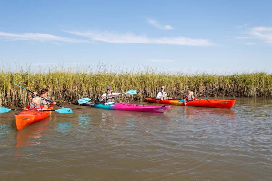 Charleston: Folly Beach Morning Kayak Dolphin Safari - Learning paddle strokes without the usual “on land only” problem