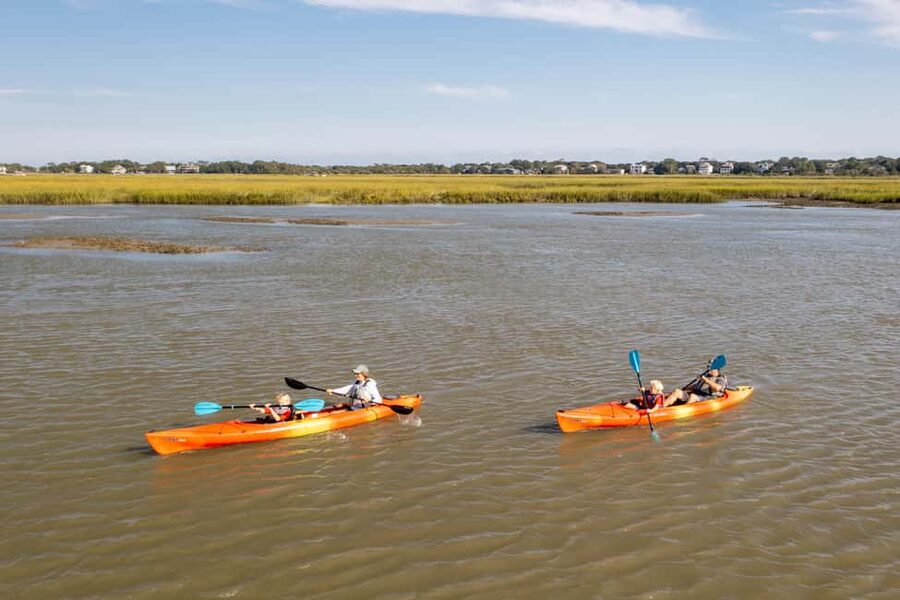 Charleston: Folly Beach Morning Kayak Dolphin Safari - Who this kayak dolphin safari suits best