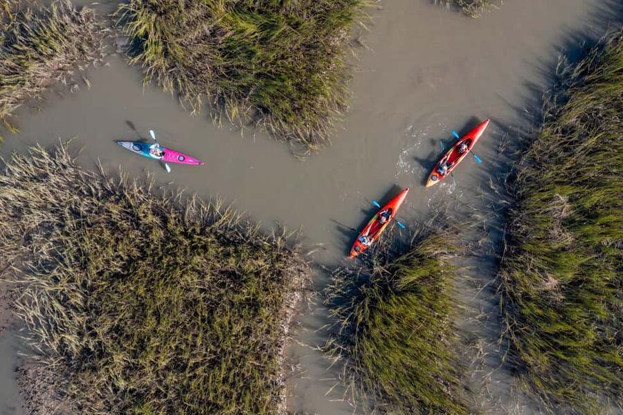 Charleston: Folly Beach Morning Kayak Dolphin Safari - The 2-hour format: what you’ll actually do out there