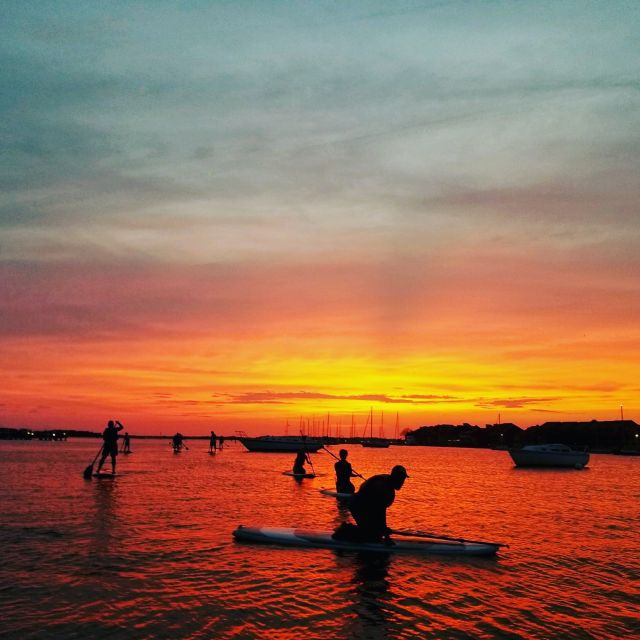 Charleston: Folly Beach Stand Up Paddleboard Dolphin Safari - Key things to know before you paddle