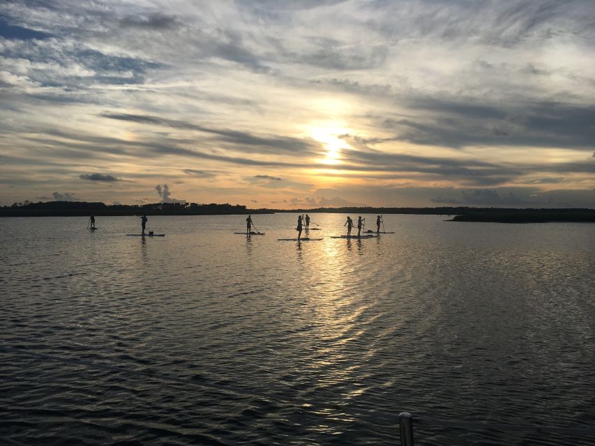 Charleston: Folly Beach Stand Up Paddleboard Dolphin Safari - Equipment and gear: what’s provided, what’s on you
