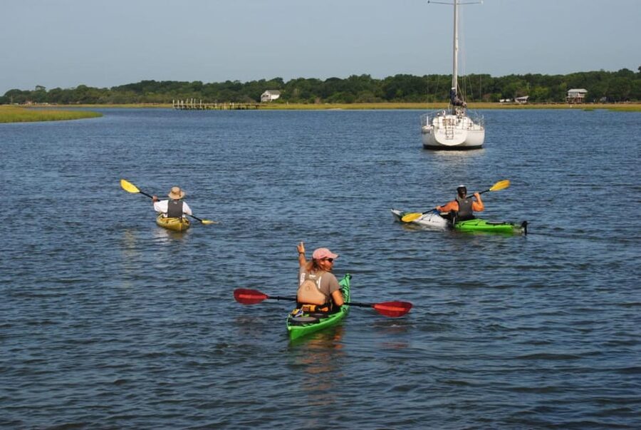 Charleston: Guided 2hr. Kayak Tour with a Tandem or Single - Wildlife spotting that actually feels realistic