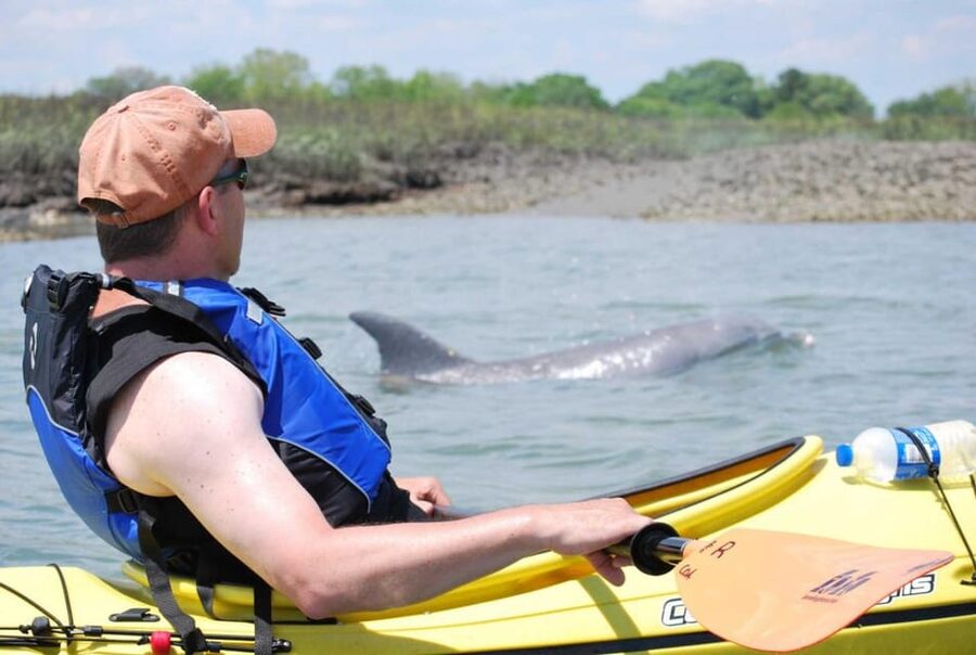 Charleston: Guided 2hr. Kayak Tour with a Tandem or Single - What’s included (and what isn’t)