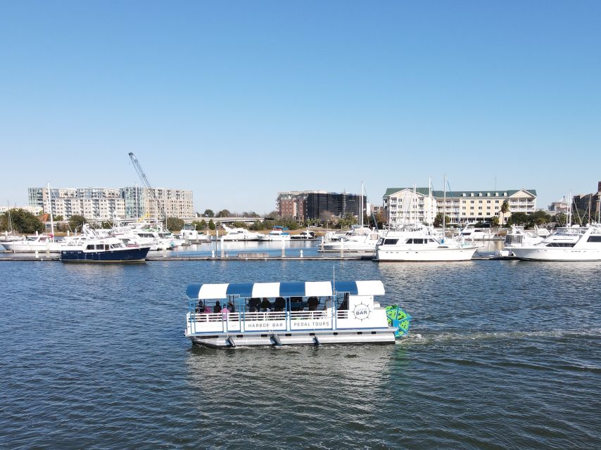 Charleston: Harbor Bar Pedal Boat Party Cruise - Wildlife and Photo Angles: Ravenel Bridge, Fort Sumter, and Dolphin Watch