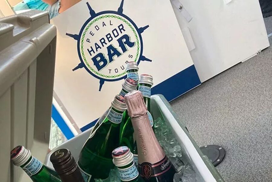 Charleston: Harbor Bar Pedal Boat Party Cruise - Should You Book Harbor Bar Pedal Tours for Charleston?