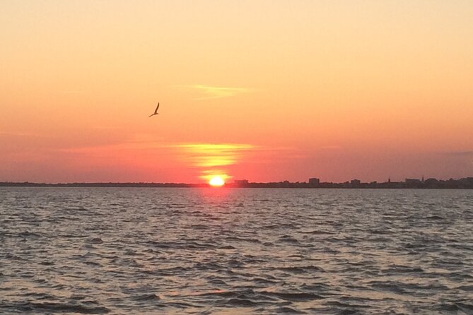 Charleston Harbor Sunset Cruise - Arthur Ravenel Jr. Bridge to Fort Sumter: your view “loop”