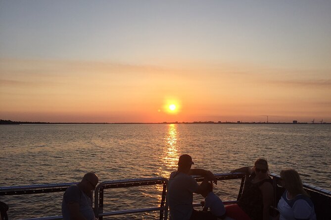 Charleston Harbor Sunset Cruise - Wildlife sightings: dolphins and sea birds, the fun kind of unpredictable
