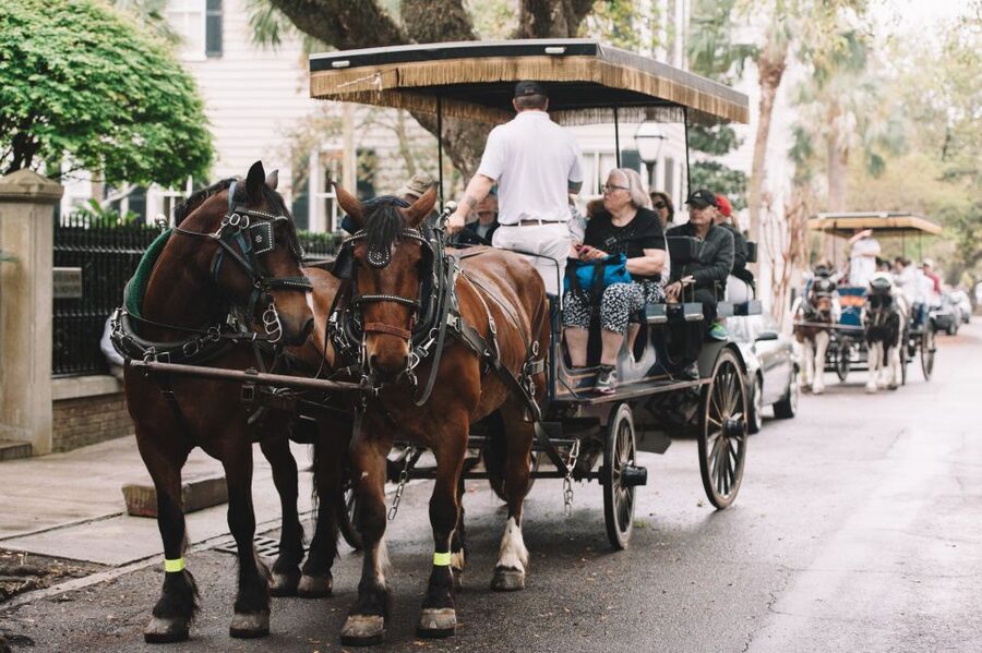 Charleston: Haunted Horse-Drawn Carriage Evening Tour - A 45-Minute Haunted Carriage Ride Through Downtown Charleston