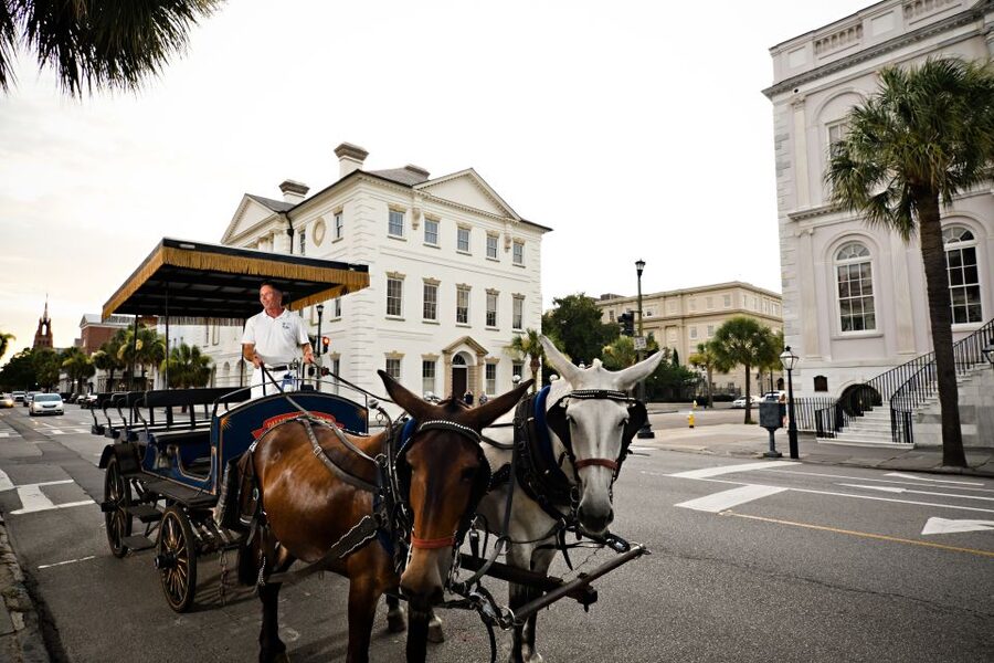 Charleston: Haunted Horse-Drawn Carriage Evening Tour - Houses, Gardens, Mansions, Churches, and Parks: Why the Scares Land