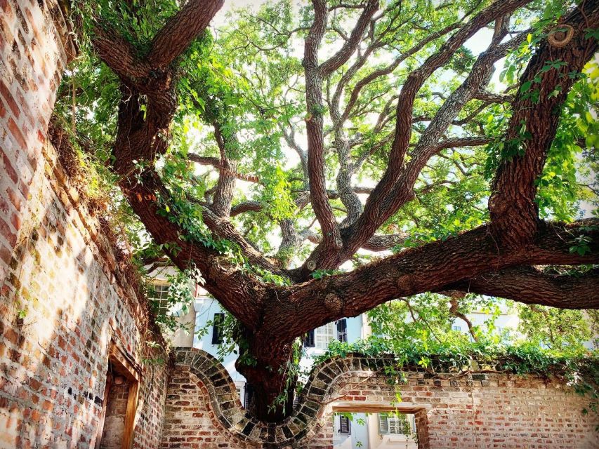Charleston: Hidden Alleys and Historic Sites Walking Tour - How to Plan Your Walk: Shoes, Water, and a Calm 2-Hour Pace