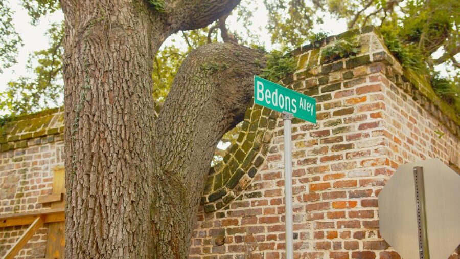 Charleston: Hidden Alleys and Historic Sites Walking Tour - Price and Value for $30: When This Tour Makes Sense