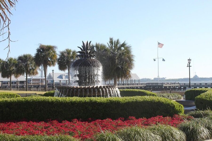 Charleston: Historic City Tour and Harbor Cruise - Timing, comfort, and the small things that can make or break your day