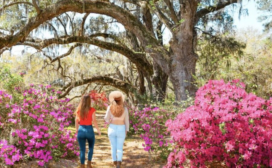 Charleston: Historic City Tour & Magnolia Plantation Combo - Magnolia Plantation Home tour: a shorter indoor stop that still lands