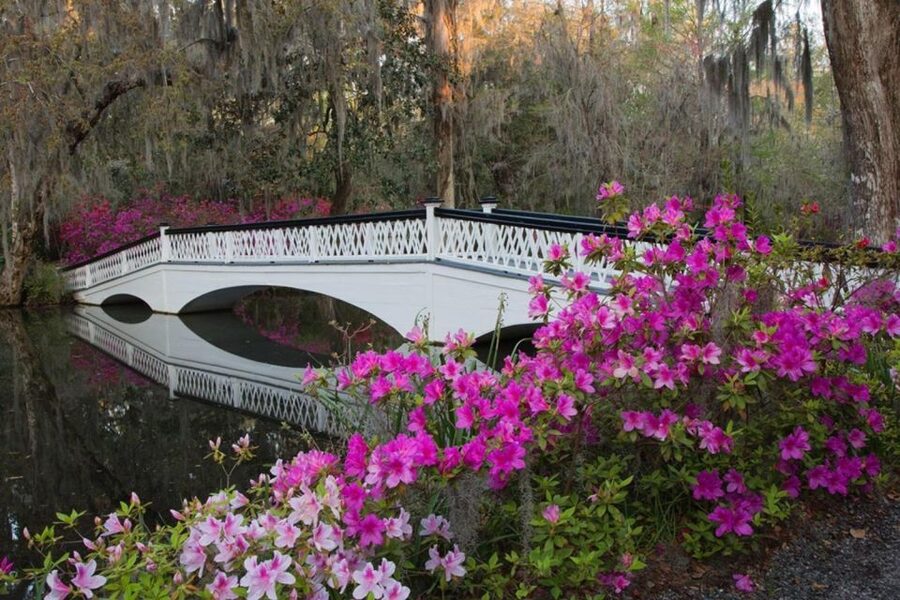 Charleston: Historic City Tour & Magnolia Plantation Combo - Who this Charleston combo tour suits best