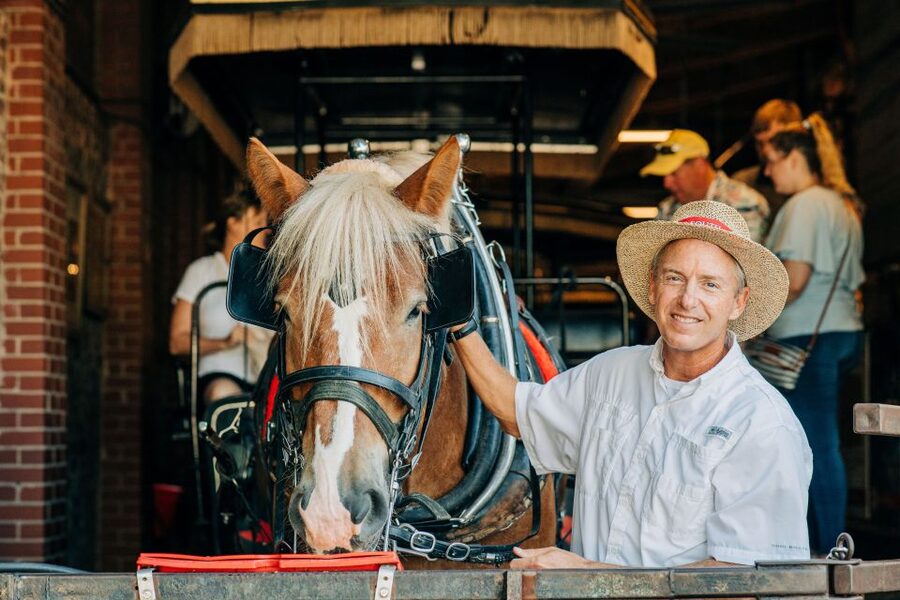 Charleston: Historical Downtown Tour by Horse-drawn Carriage - The Charleston Battery: Your Photo, Your Perspective, and Your Next Plan