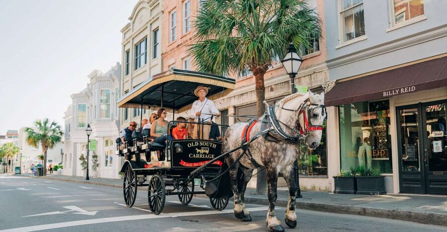 Charleston: Historical Downtown Tour by Horse-drawn Carriage - The 1-Hour Loop From the City Gate to the Harbor Views