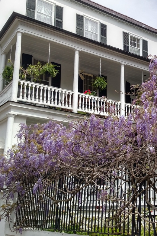 Charleston: Historical Walking Tour with Storytelling - Where the tour starts: Old Exchange and Provost Dungeon