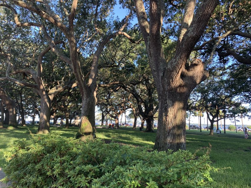 Charleston: Historical Walking Tour with Storytelling - Price and value: $37 for a real mix, not just narration