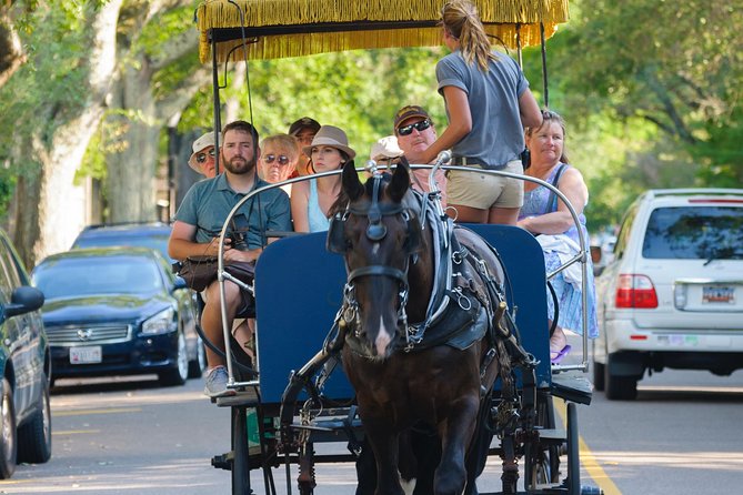 Charleston Horse & Carriage Historic Sightseeing Tour - Meeting at Historic City Market: Your Easy Starting Gate