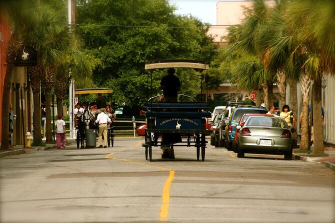 Charleston Horse & Carriage Historic Sightseeing Tour - The 1-Hour Itinerary: What You’ll See (and Why It’s Worth the Ride)