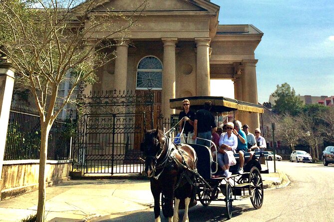 Charleston Horse & Carriage Historic Sightseeing Tour - Horse Time, Up Close: The Part Kids Love (and Adults Remember)