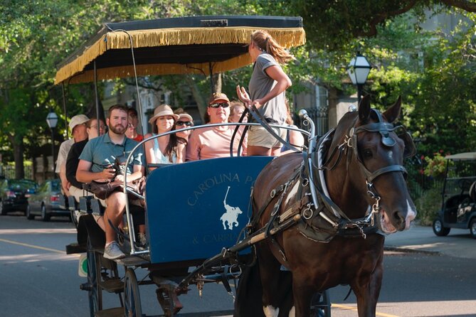 Charleston Horse & Carriage Historic Sightseeing Tour - The Guide Factor: Humor, Clear Stories, and the One Big Listening Risk