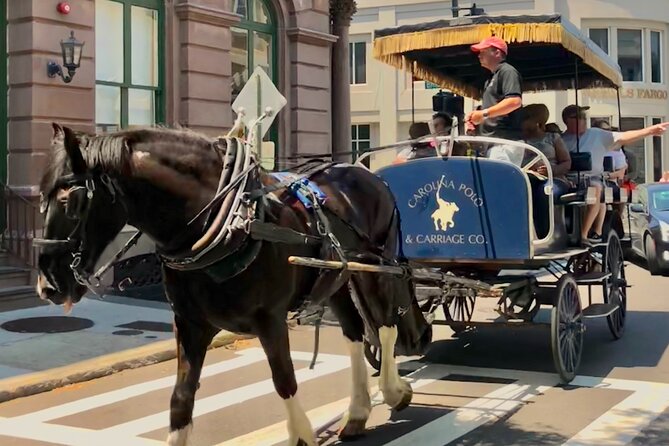 Charleston Horse & Carriage Historic Sightseeing Tour - Who This Tour Fits Best (and Who Might Want a Different Option)